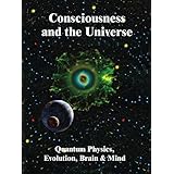 Consciousness and the Universe: Quantum Physics, Evolution, Brain &amp; Mind