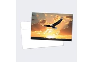 Tree-Free Greetings EcoNotes Stationary- Blank Note Cards with Envelopes, 4" x 6", Bald Eagle Soaring, USA Themed, Boxed Set 