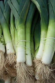 Seekay Rábano Francés Desayuno Aprox 4000 Semillas - Vegetal ...