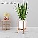 Glosom Indoor Plant Stand Width 11