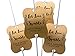 Summer-Ray 48pcs Personalized Brown Kraft Little Violin with Leaves Print Wedding Sparkler Tags Let Love Sparkle