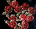 Yavona Enamel Red Crystal Flowers Poppy Brooches for Women Soldier Remembrance Days Gifts Poppy Pins