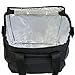 InsigniaX Insulated Lunch Bag S1/S2 Lunch Box/Cooler/Lunchbag for Adult Women Men Work School Picnic Girls Boys with Strap Bottle Holder H: 10