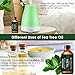 URPOWER Tea Tree Oil, 4 Ouce/ 120ml 100% Pure and Natural Tea Tree Essential Oil, Steam Distilled Essential Oils, Perfect for Massage, Aromatherapy, Diffusion, spa