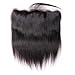 sdamey 360 Straight human hair Wigs (22 Inch, 360 4/27 wig)