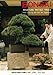 Bonsai: Miniature Potted Trees by 