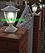 2-Pack WHITE Solar Hexagon Post Cap Lights with WHITE LEDS for 5X5 Fence Post- GREEN NATURAL SOLAR