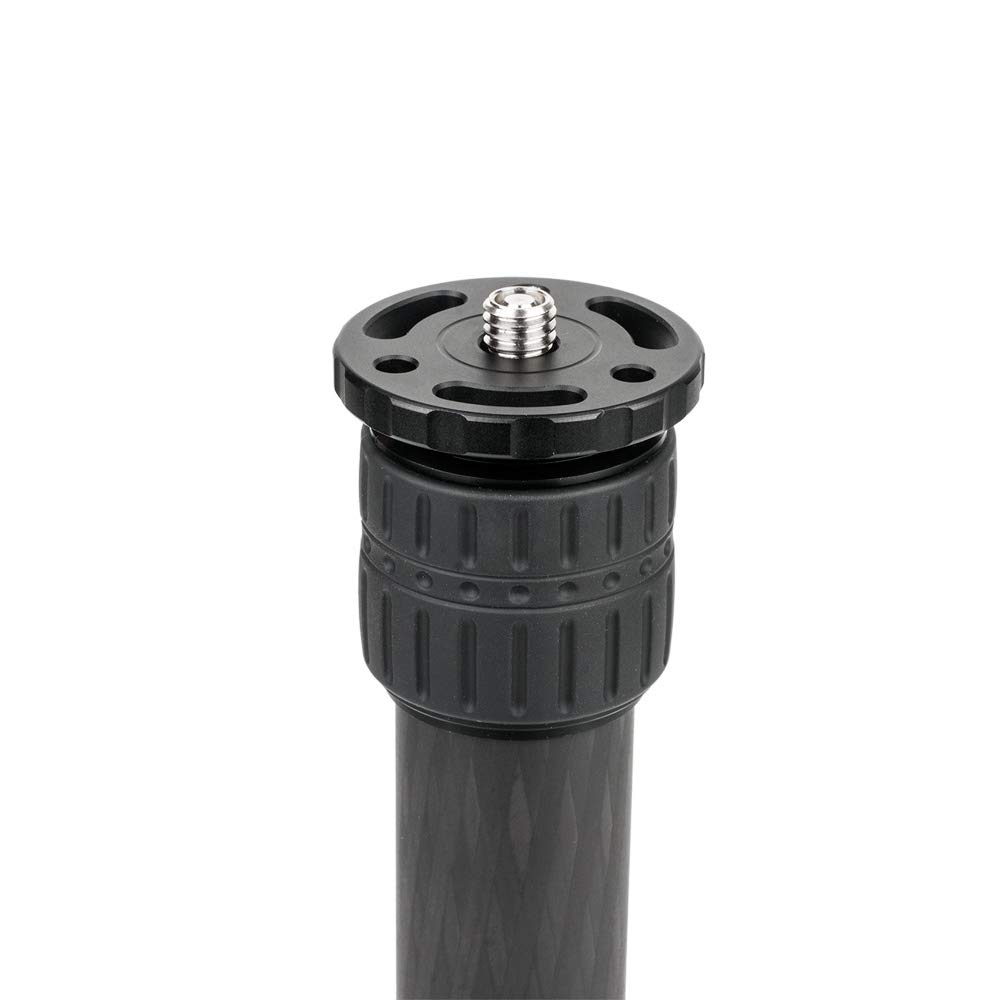 View 8