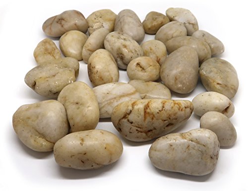 1buy Uk 1kg New Assorted Beige Sand Light Colour Natural Stones