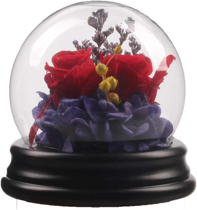 Siyaglass Enchanted Rose,Beauty and The Beast Rose Real Preserved Rose in Glass Dome Multi Use for Home Office or Home Decorations, Anniversary, Valentine's Day