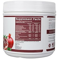 Nitrolithic Labs Nitric Oxide Drink Powder