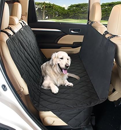 are orange tabby cats always male