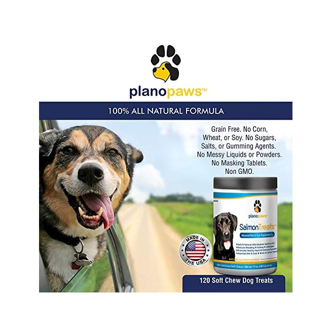 plano paws salmon chews