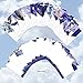 The Best Card Company - 10 Boxed Note Cards with Flowers - Blank Assorted Floral Notecards Bulk (4 x 5.12 Inch) - Iridescent Iris MQ4949OCB-B1x10