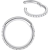 LOVEBODYJEWELRY 316L Surgical Steel Seamless Nose Ring Cartilage Hoop Silver/Gold/Rose Gold/Black 16G 18G 20G 6mm-12mm CZ Paved Helix Rook Tragus Lobe Body Pierecing Jewelry Segment Clicker Lip Rings Rook Earrings