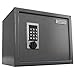 First Alert 2072F Anti-Theft Safe with Digital Lock, 1.00 Cubic Foot, Gray