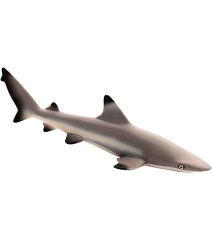 Safari Ltd. Figura Acuática Realista Pintada A Mano De 5.75 Pulgadas, Juguete Educativo Para Niños, Niñas Y Niños A Partir De 3 Años