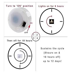 AGPtEK® Timer Flickering Flameless LED Candles