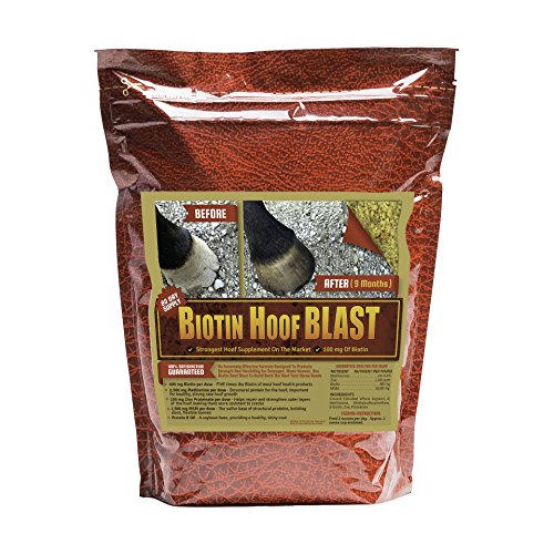 Biotin Hoof Blast, 10 lb Bag