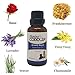 Canine Coddler Pet Anxiety Essential Oil | Aromatherapy Treatment for Dogs | Anxiety Blend | Reduce Stress Separation Anxiety Ease and Calm Pets 1 oz 30ml Bottle (Anxiety Blend)