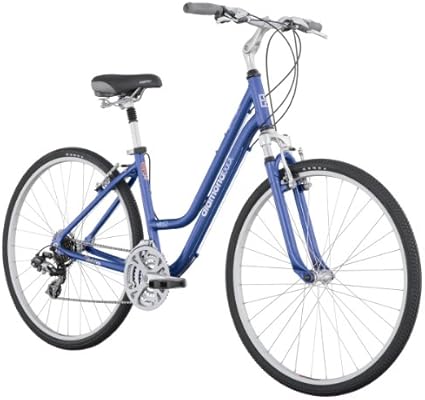 ladies hybrid bike 17 inch frame