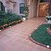Argee RG840S Let's Light It 40-Foot Decorative Plastic Brick Edging with 6 Built-In Solar Lights, Terra Cotta