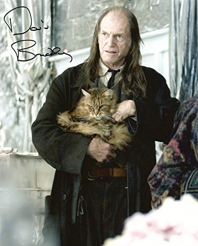 David Bradley ACTOR HARRY POTTER 