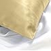 Spasilk 100% Pure Hair and Skin Silk Pillowcase, Queen 20