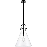 Innovations Newton Cone 1-Light Dimmable Pendant Light Fixture