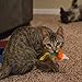 GDPet 10 Piece Including Cat Teaser Wand Interactive Feather Toy Fluffy Mouse Mylar Crinkle Balls Catnip Pillow for Kitten/Kitty