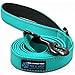 Max and Neo Small Dog Leash - Reflective Nylon, Donates to Dog Rescue (Teal, 6x5/8)