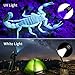 Morpilot Blacklight Flashlights, 2 in 1 LED UV Blacklight with 500LM Highlight, 4 Modes, 395nm Black Light Flashlight for Pet Urine/Scorpion Detection/Night Fishing/Travel/Camping, 2pcs