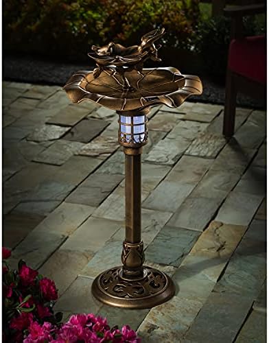 Evergreen backyard house decoration featuring a unique bird design.