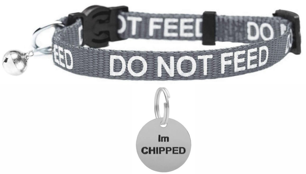 LARRYROO Cat Collar With DO NOT FEED Print - Soft Nylon & Safety Release Buckle - With Personalised Engraved Round Silver ID Tag with IM CHIPPED Print (Silver)