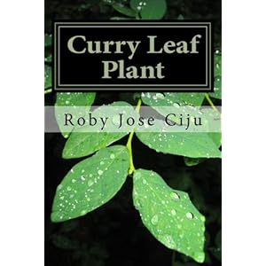 Curry Leaf Plant: Growing Practices and Nutritional Information