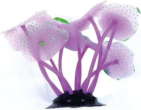 clearance aquarium supplies