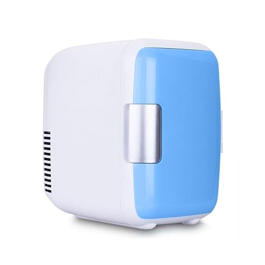 LHAO Nevera Coche Mini Nevera 4L Compacto portatil eléctrico ...