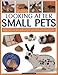 Looking After Small Pets: An authoritative family guide to caring for rabbits, guinea pigs, hamsters by