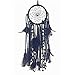 Dremisland Dream Catcher Handmade Traditional White Feather Wall Hanging Car Hanging Home Decoration Ornament Decor Ornament Craft Gift (Black)