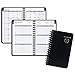 AT-A-GLANCE 70CP030517 Academic Year Weekly/Monthly Pocket Appointment Book/Planner, 2016-2017, 3-3/4