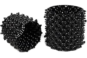 RooTrimmer 3 Gallon Air Pruning Container New Plastic Nursery Pot Fruit Vegetable Garden self-Planting pots, Size 10"x10", Black