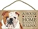 A house is not a home without Bulldog - 5