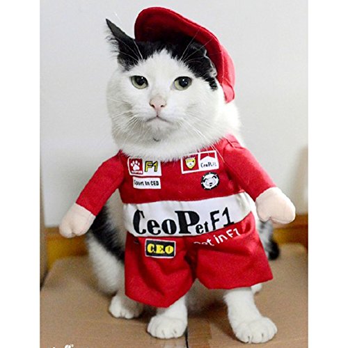 Alfie Pet by Petoga Couture - Kade the Formula One Racer for Party Halloween Special Events Costume - Image 2
