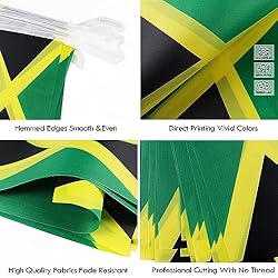 Jamaica String Flag Pennant Banner - 38 Flags, 42