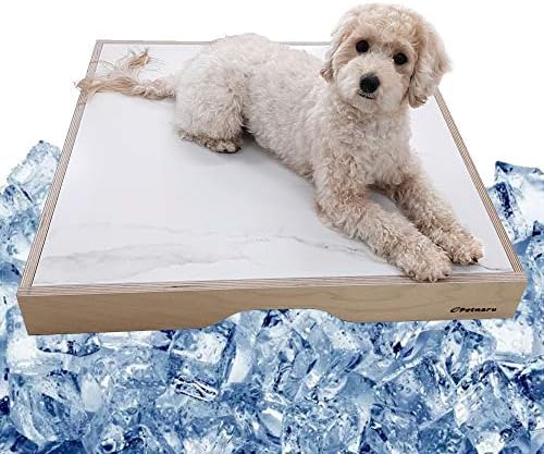 cooling pet bed for cats