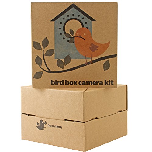 Wireless Bird House Camera & Receiver Kit With Night Vision Perfect