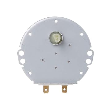 richingCAI Motor síncrono de microondas para Mesa giratoria SSM ...