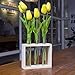 Ivolador Plant Propagation Station Terrariumin Wall Test Tube Vases Bud Tabletop Glass Wooden Stand with 5 Propagation Tubes for Propagating Hydroponic Plants Home Garden Wedding Decoration-Beige