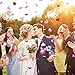 Tatuo 600 Pieces Valentine Confetti Fabric Heart Confetti Sponge Table Scatter for Wedding Valentine's Day Favors, 3 Colors in 2 Sizes