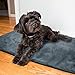 Premium Pet Bed Mat: Soft Self Warming Dog Bed - Crate Pad for Dogs and Cats - Medium Dog Beds, Small Dog Beds - Cat Bed with Reflective Core - Puppy Bed
